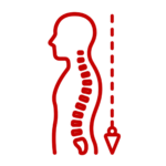 Posture & Biomechanics